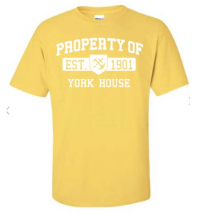 HOUSE T-SHIRT - VARSITY - YOUTH